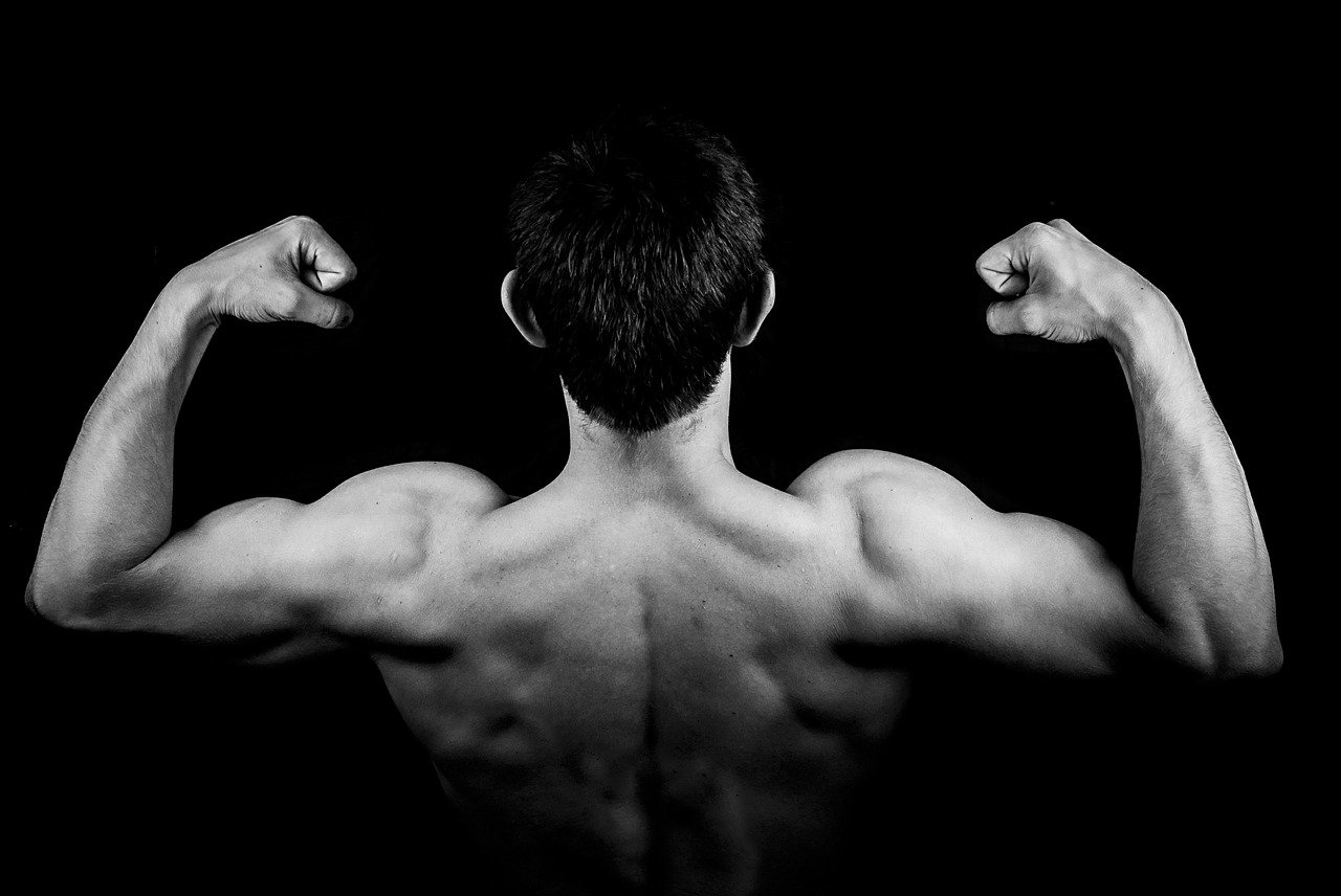 Are Your Hormones Impacting Your Muscle Gain?