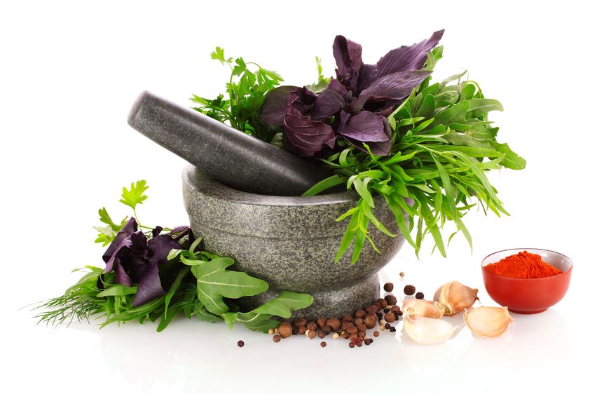 A place for all your health and wellness needs