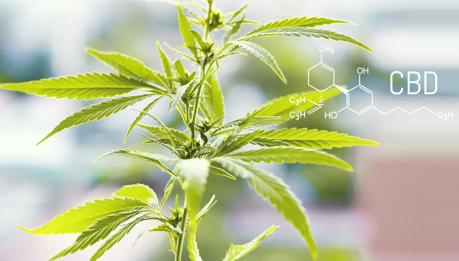 The 4 conditions CBD oil can actually improve