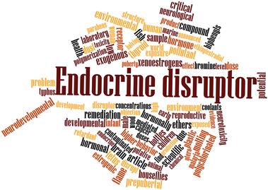 9 Ways to Rid Your Home of Endocrine Disruptors