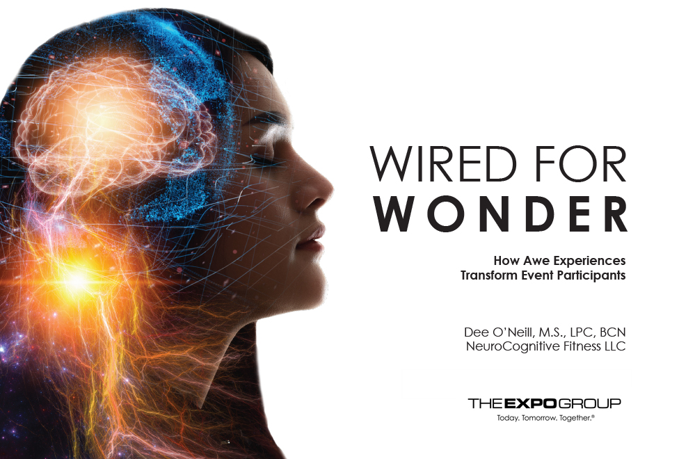Wired for Wonder ebook